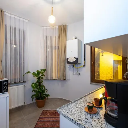 Appartement Historical Levantine Flat @heart Of Taksim