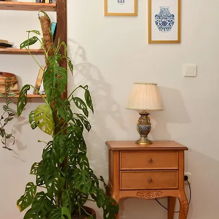 Historical Levantine Flat @heart Of Taksim * Stambuł